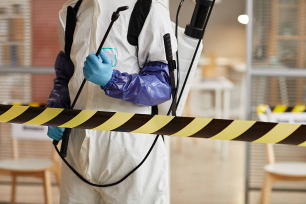 Professional Sewage Cleanup technician working in Flagler Beach, FL